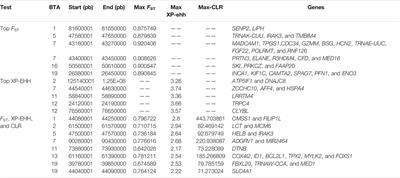 Whole-Genome Analyses Reveal Genomic Characteristics and Selection Signatures of Lincang Humped Cattle at the China–Myanmar Border